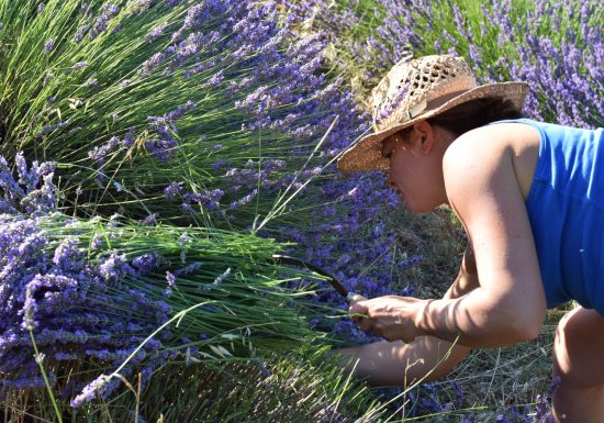 FLORALUNA HUILES ESSENTIELLES BIO