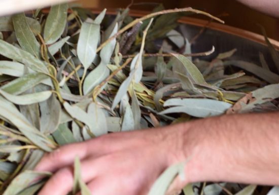 FLORALUNA HUILES ESSENTIELLES BIO