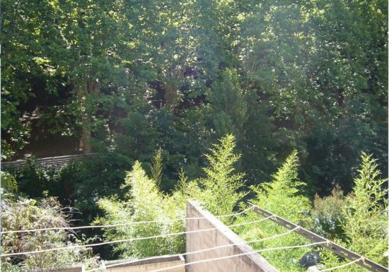 DAVIAUD JEAN JACQUES