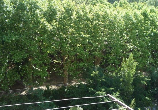 DAVIAUD JEAN JACQUES