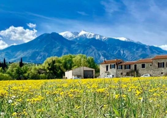 GITE LE CANIGOU 3* DANS MAS TYPIQUE CATALAN