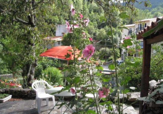 ROSE DE FRANCE – STUDIO MEZZANINE