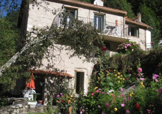 ROSE DE FRANCE – STUDIO MEZZANINE