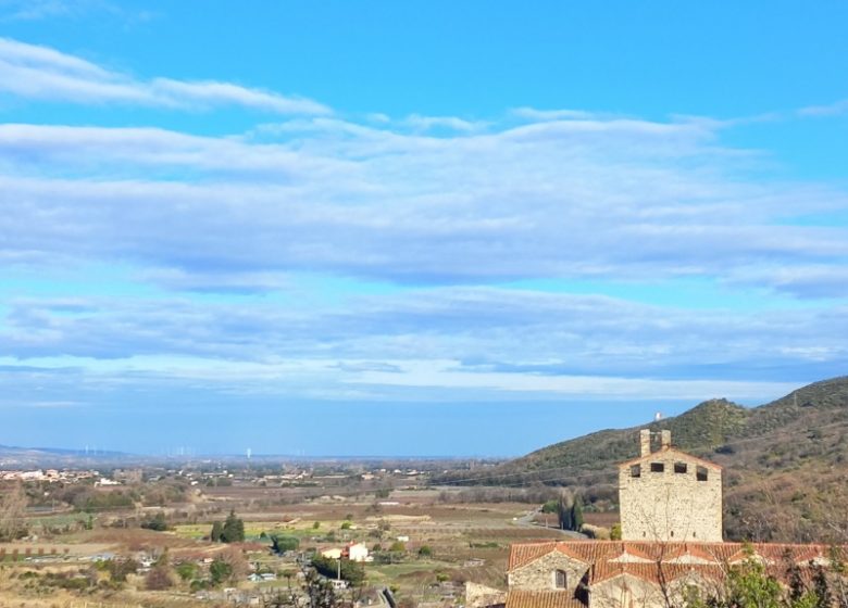 AUX IRIS GRAVAS