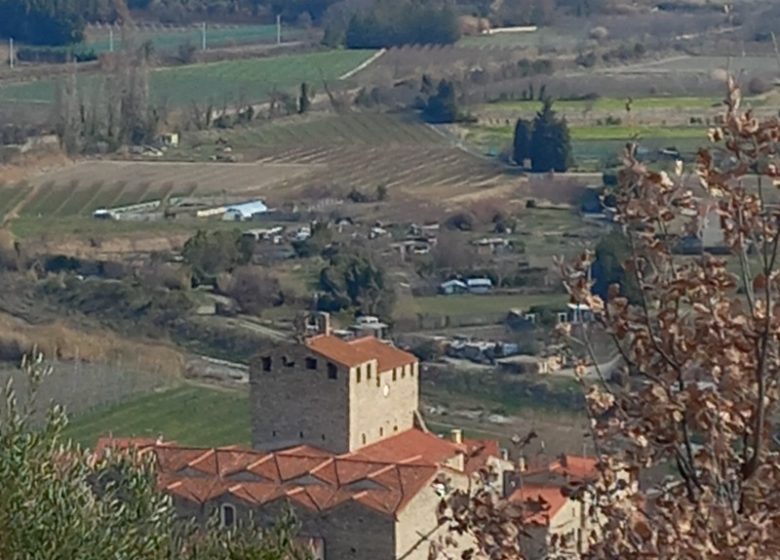 AUX IRIS GRAVAS