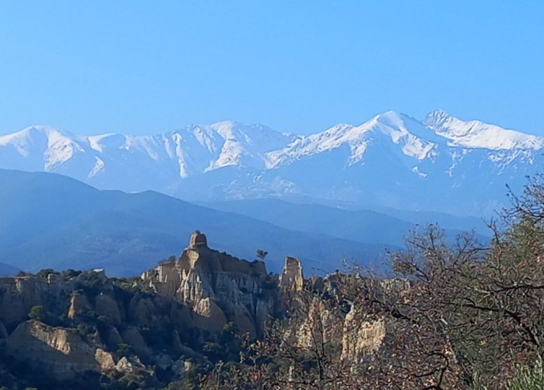 AUX IRIS GRAVAS