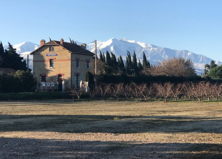 CASA MIA