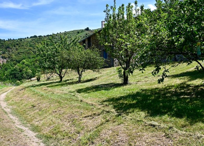 LA PASTORALE