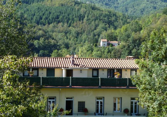 BAXTER PATRICIA N°7