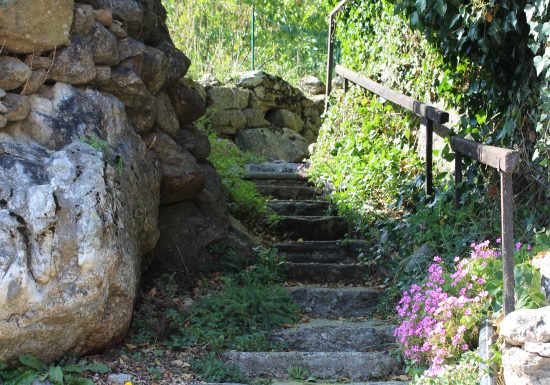 RESERVE NATURELLE DE PY