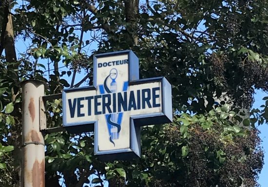 VETERINAIRE DR BOURGEOIS-JOUBERT-YEREMIAN
