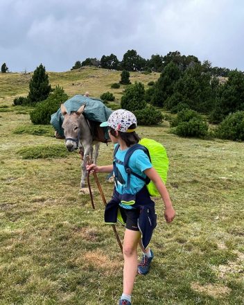 LES ANES DU TRES ESTELLES
