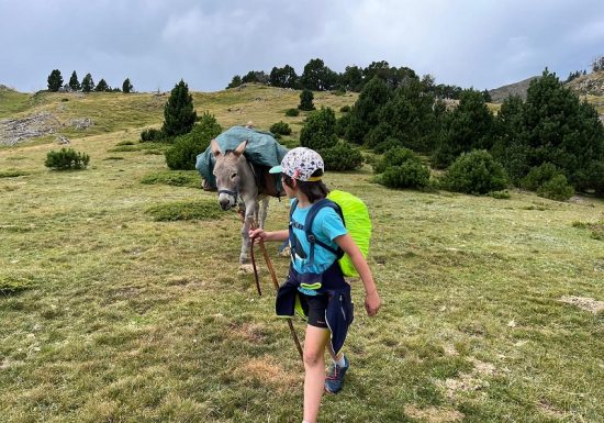 LES ANES DU TRES ESTELLES