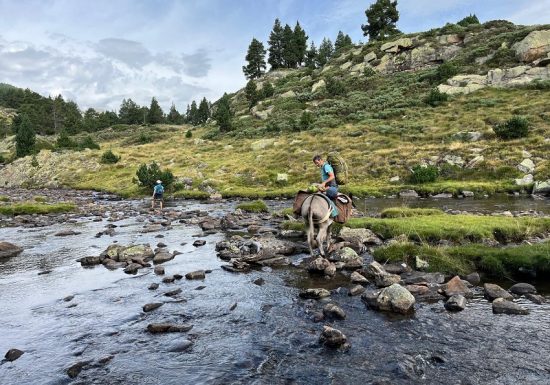 LES ANES DU TRES ESTELLES