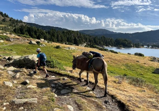 LES ANES DU TRES ESTELLES