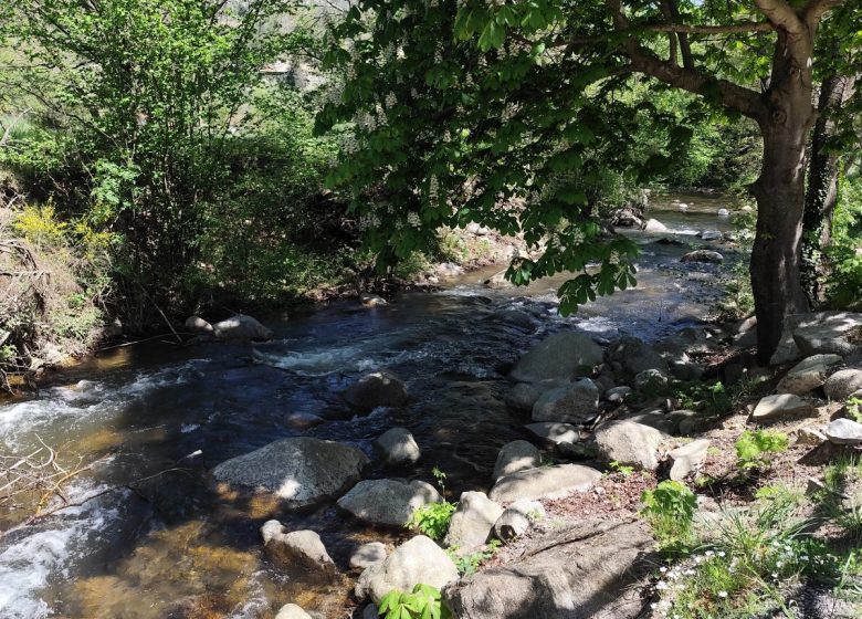 CAMPÔME GRANGE APARTMENT