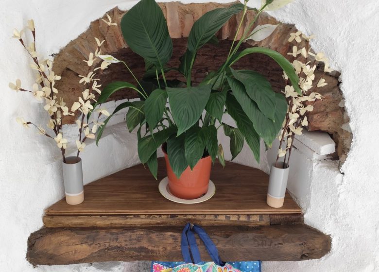 CAMPÔME GRANGE APARTMENT