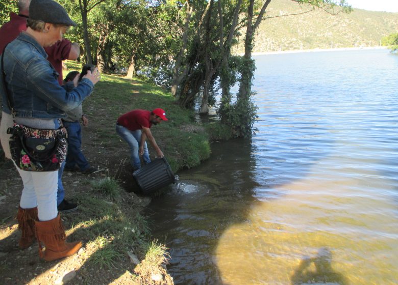 ASSOCIATION AGRÉÉE DE PÊCHE DU BAS CONFLENT