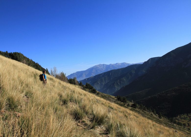 ENTRE LA TIERRA Y EL AGUA JEROME LACOU