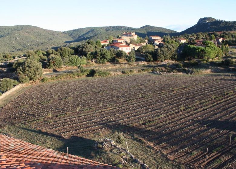 FUNDACION DEL PRIORADO DE MARCEVOL