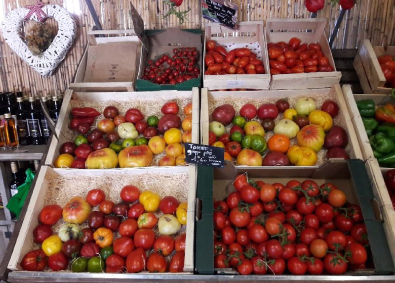 THE FLAVORS OF CONFLENT