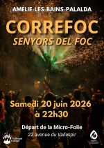 vallespircanigo CORREFOC