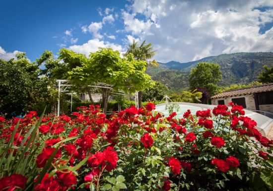 LES LOGES DU JARDIN D’AYMERIC