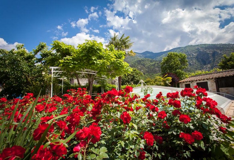 LES LÒGIES DEL JARDÍ D'AYMERIC