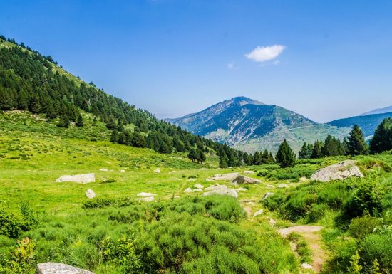 RESERVE NATURELLE DE MANTET