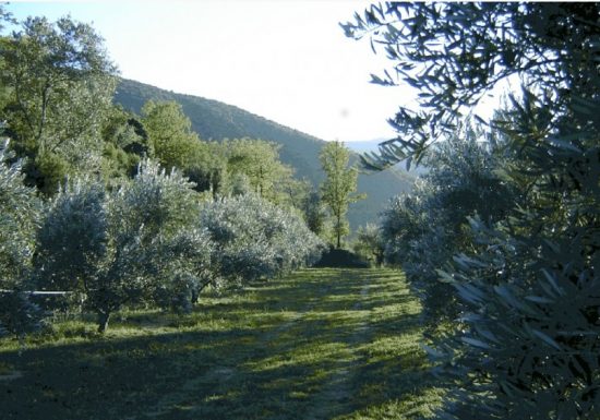 LE MOULIN DES AUXELLES