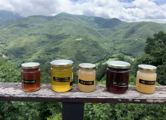 LA RUCHE DU HAUT VALLESPIR