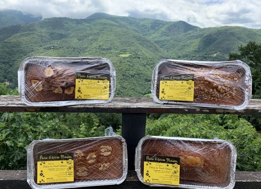 LA RUCHE DU HAUT VALLESPIR