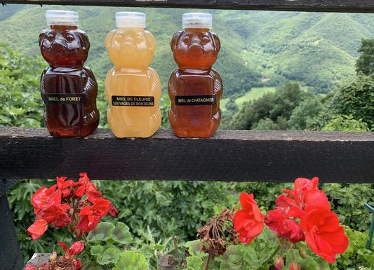 LA RUCHE DU HAUT VALLESPIR