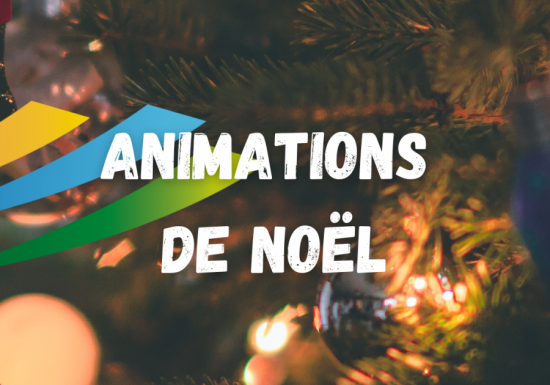 MARCHÉ DE NOËL DES FABRICRÉATEURS