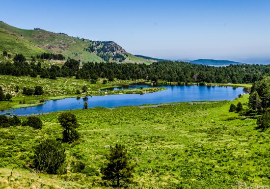 RESERVE NATURELLE DE NOHEDES