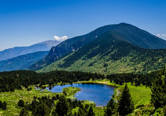 RESERVE NATURELLE DE NOHEDES