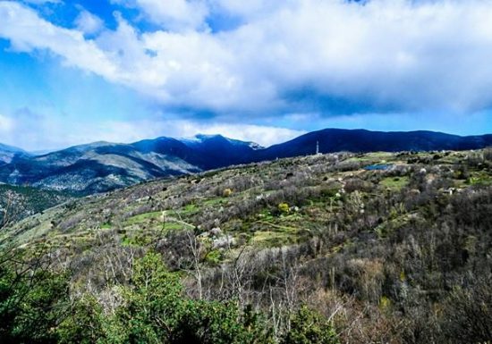 RESERVE NATURELLE REGIONALE DE NYER
