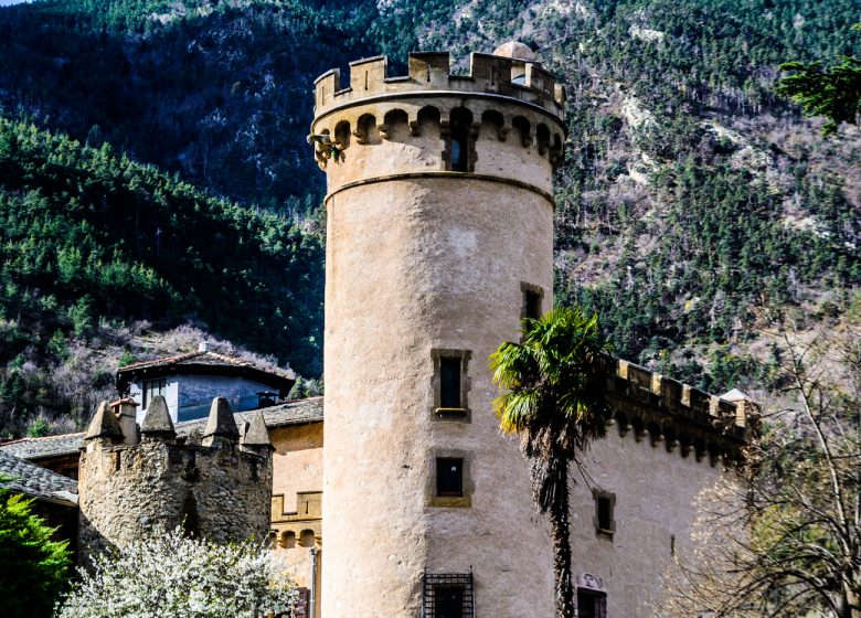 EL CASTELL DE NYER