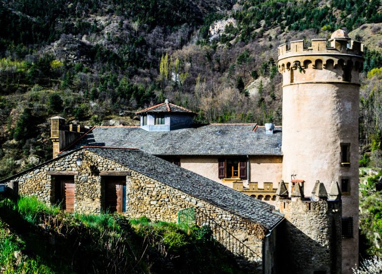 EL CASTELL DE NYER