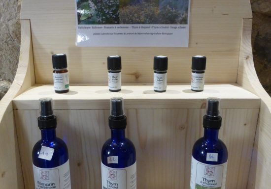 FONDATION DU PRIEURE DE MARCEVOL