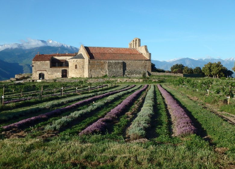 FOUNDATION OF THE PRIORY OF MARCEVOL