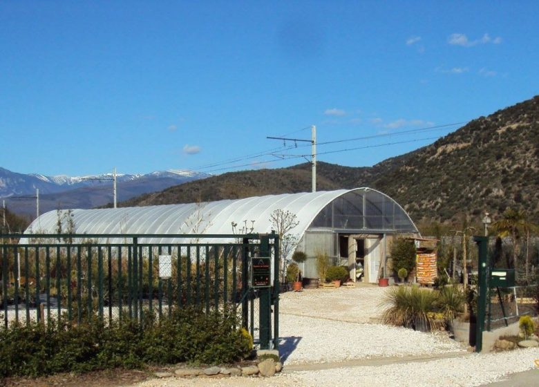 CONFLENT VIVERO PLANTAS DE ÁRBOLES, ARBUSTOS Y FRUTALES ADAPTADOS A NUESTRO TERRITORIO