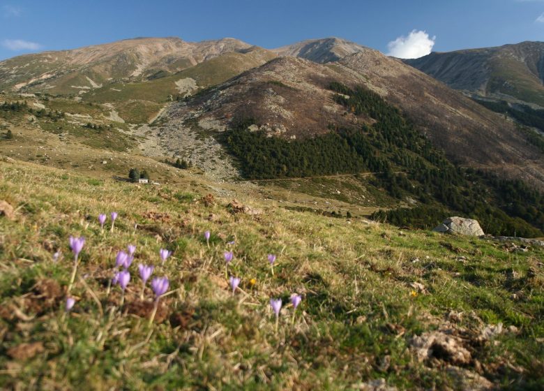 RESERVA NATURAL DE PRATS DE MOLLO LA PRESTE