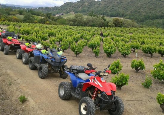 LES VIGNERONS EN TERRES PLURIELLES