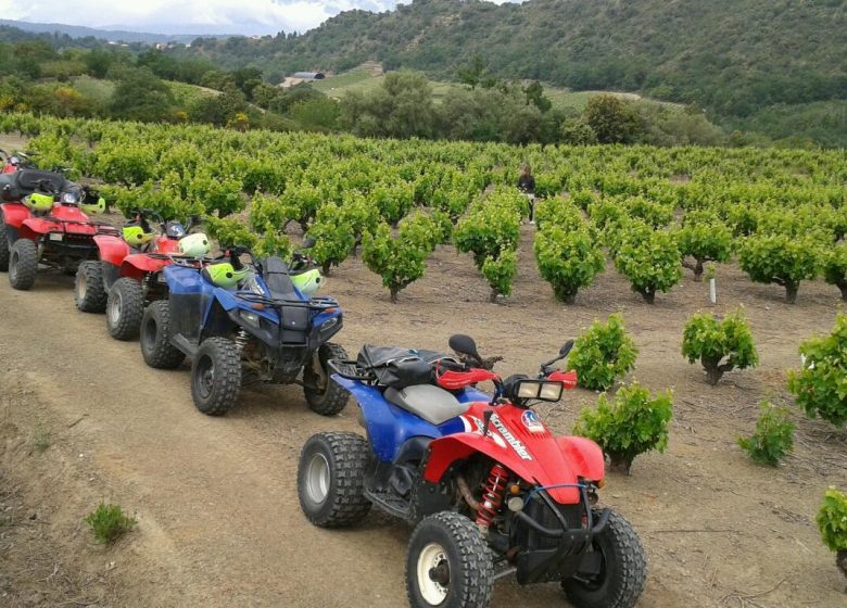 VITICULTORES EN TIERRAS PLURAL