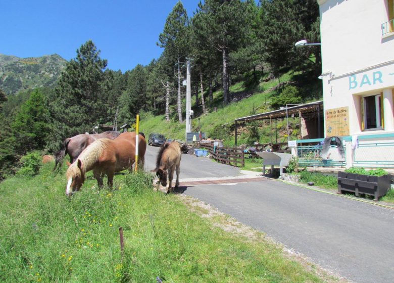 REFUGE DE BATERE