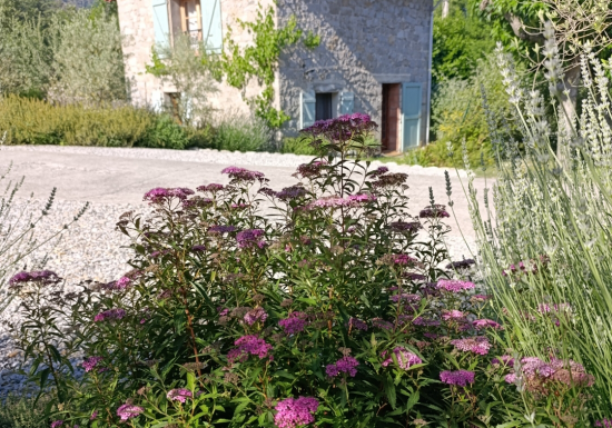 MÉLODIE DU CANIGOU – MARJOLAINE