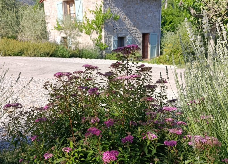 MÉLODIE DU CANIGOU – MARJOLAINE