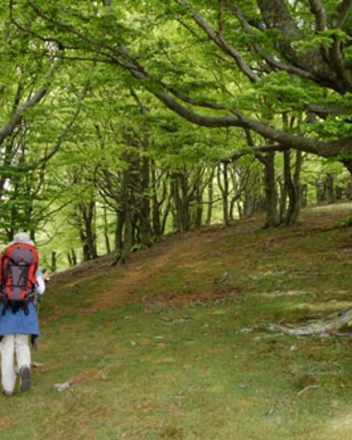 LES SENTIERS DE PYRENE