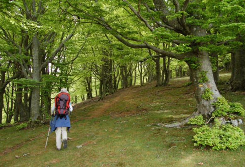 SENDEROS DEL PIRINEO